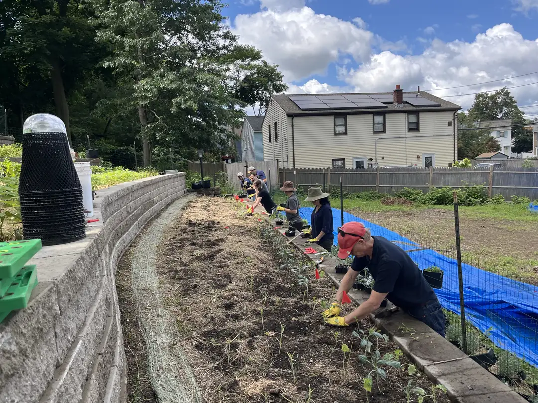 Oasis on Ballou Volunteer Day with Oasis on Ballou Volunteer Group - HQUS
